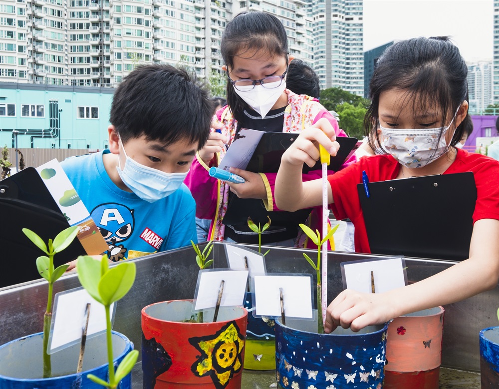 The project team implemented a 4-month Mangrove Planting Scheme from May to September 2022, inviting primary school students in Tung Chung to plant mangrove seedlings. Apart from having the opportunity to learn more about mangrove, wetland, biodiversity as well as acquiring better understanding of Tung Chung New Town Extension, the participants could take part in building the Tung Chung community.